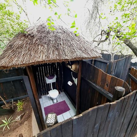 Off Beat Safaris Bush Lodge Hoedspruit Exterior photo