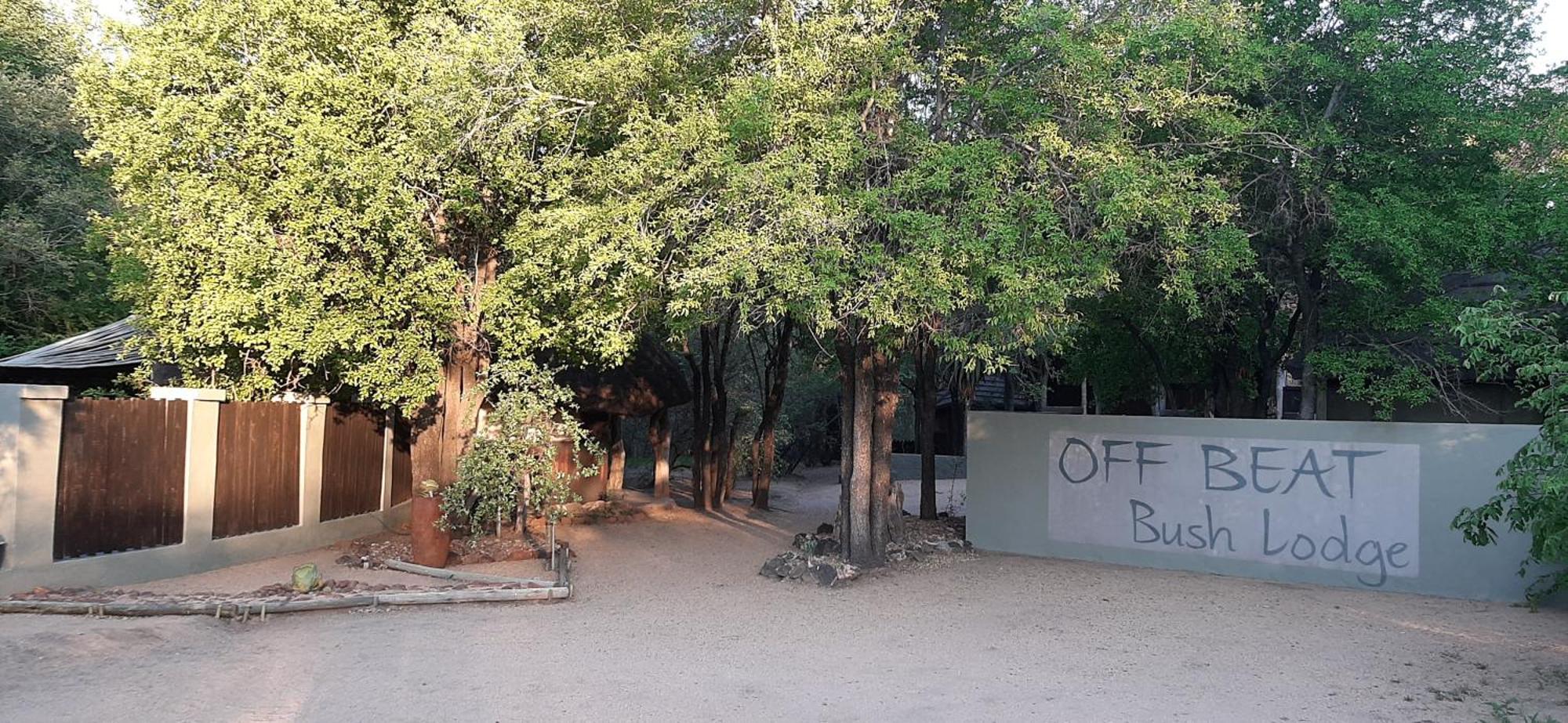 Off Beat Safaris Bush Lodge Hoedspruit Exterior photo