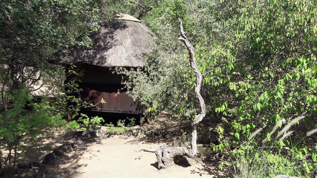 Off Beat Safaris Bush Lodge Hoedspruit Exterior photo