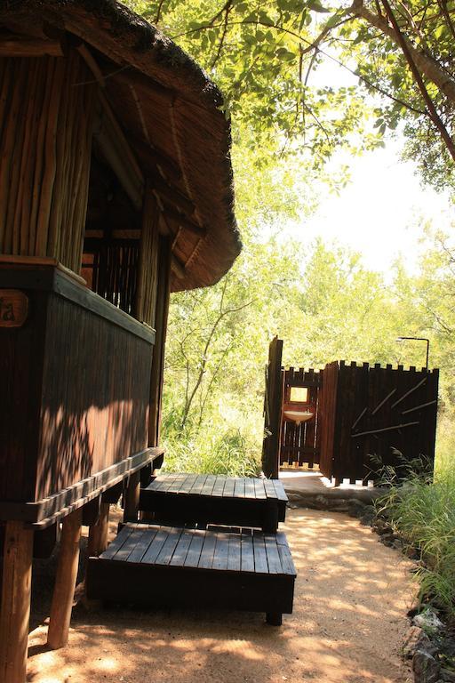 Off Beat Safaris Bush Lodge Hoedspruit Room photo