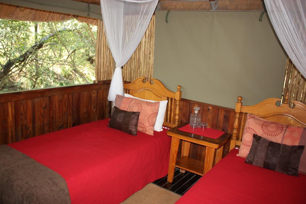 Off Beat Safaris Bush Lodge Hoedspruit Room photo