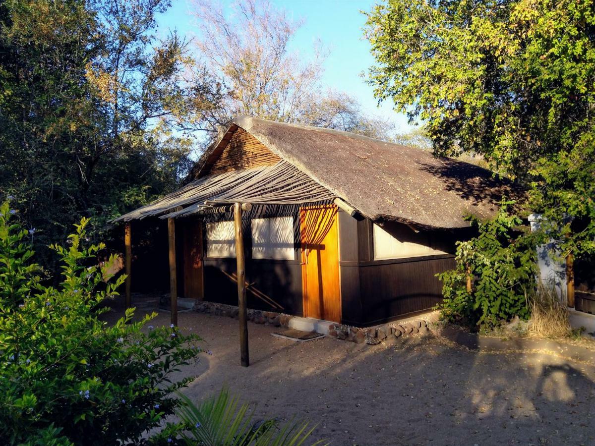 Off Beat Safaris Bush Lodge Hoedspruit Exterior photo