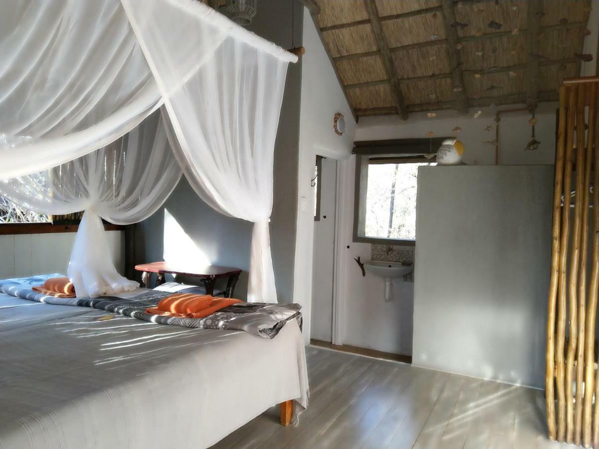 Off Beat Safaris Bush Lodge Hoedspruit Exterior photo