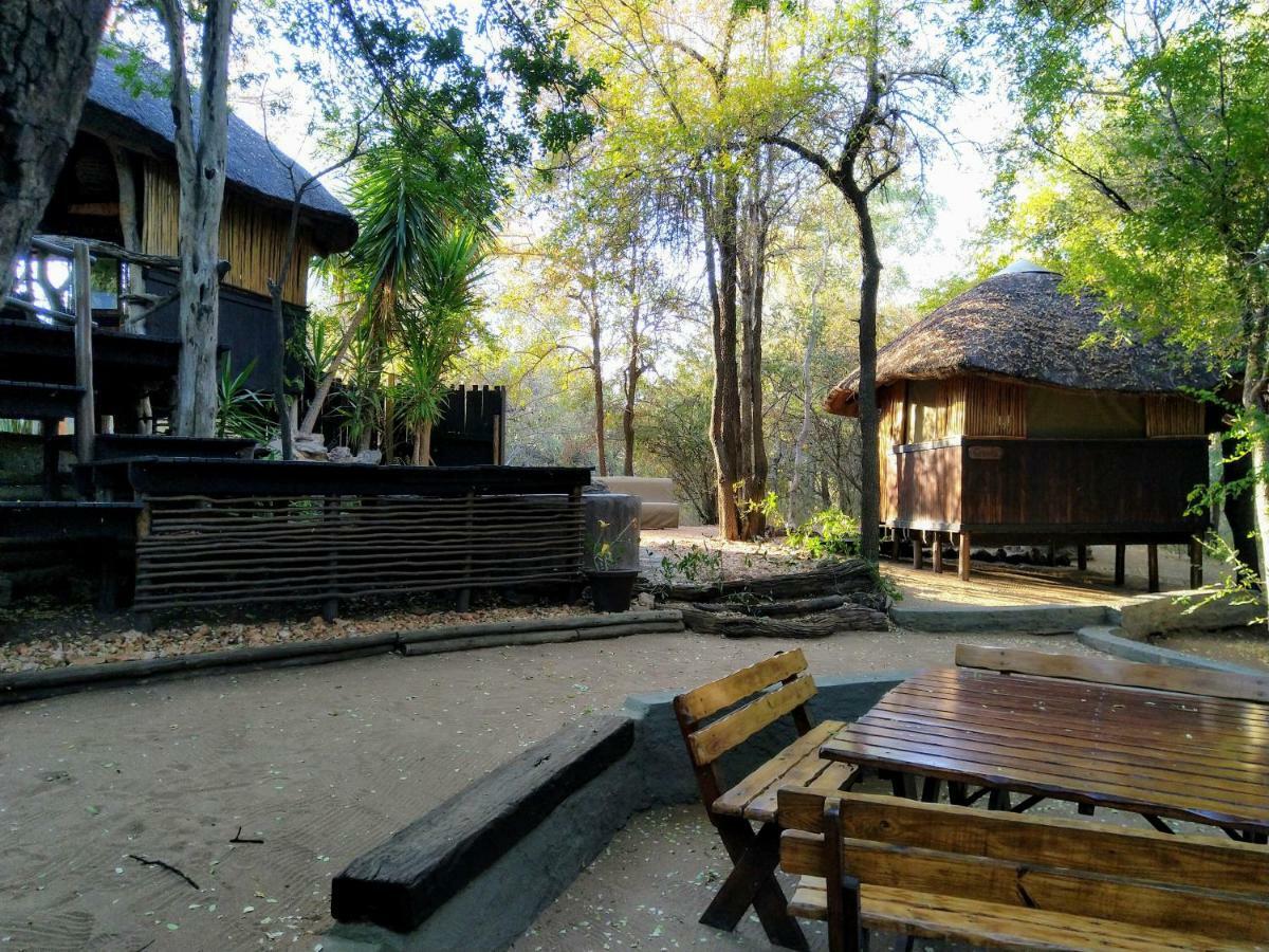 Off Beat Safaris Bush Lodge Hoedspruit Exterior photo