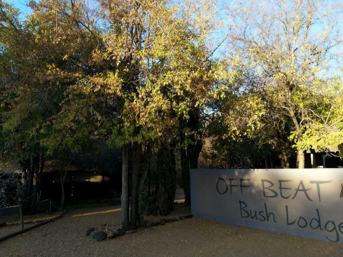 Off Beat Safaris Bush Lodge Hoedspruit Exterior photo