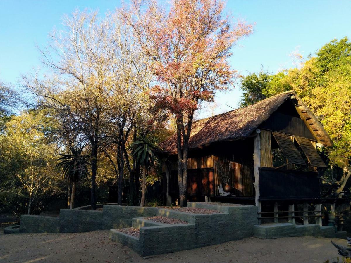 Off Beat Safaris Bush Lodge Hoedspruit Exterior photo