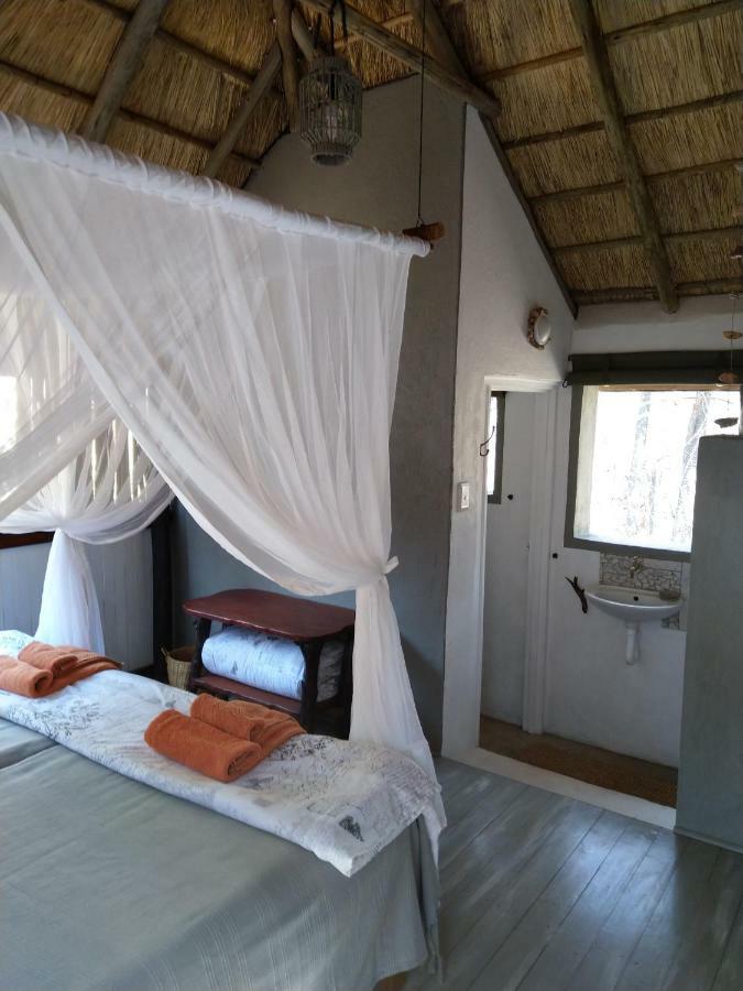 Off Beat Safaris Bush Lodge Hoedspruit Exterior photo